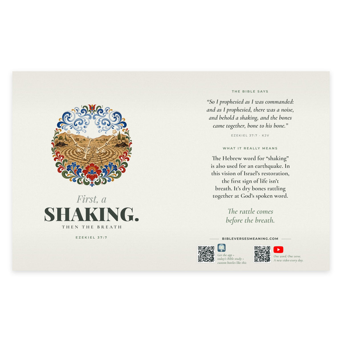 Full printed wrap design for First, a Shaking