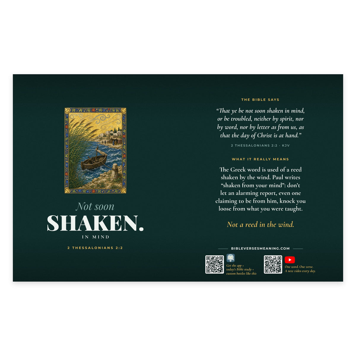 Full printed wrap design for Not Soon Shaken