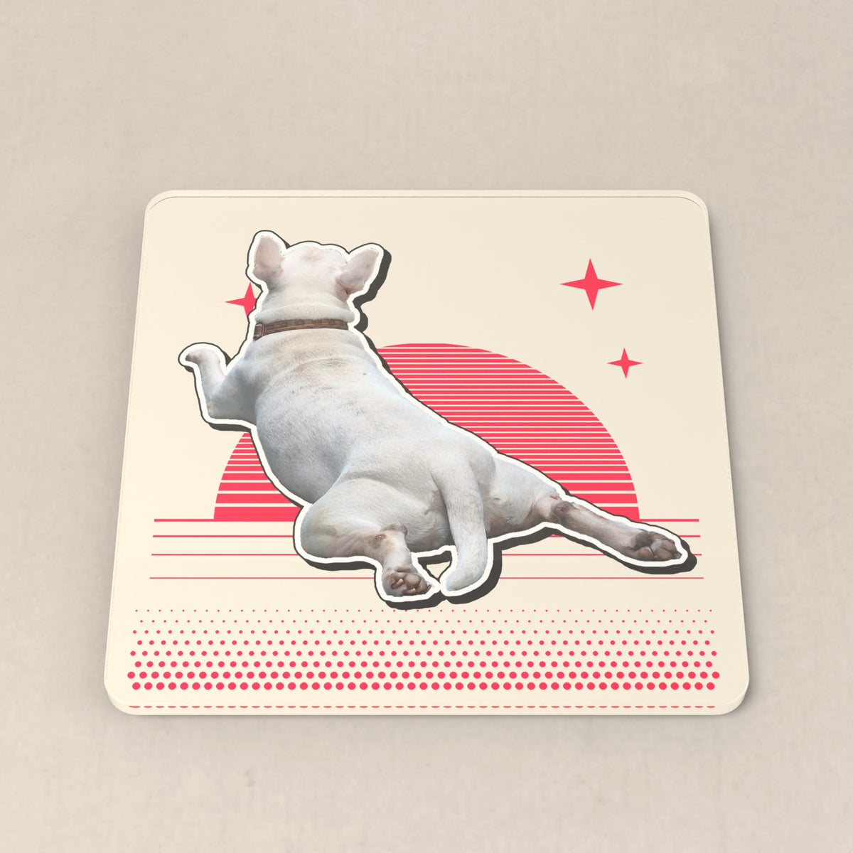 Sunset look: a white bull terrier lying flat on a striped retro sunset
